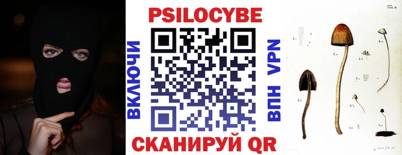 нарко площадка как зайти  Серафимович  Псилоцибиновые грибы Cubensis  купить  сайты 